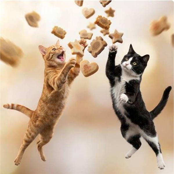 Catit Creamy Bitz Mega Mix Cat Treats
