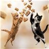 Image 1 : Catit Creamy Bitz Mega Mix Cat Treats