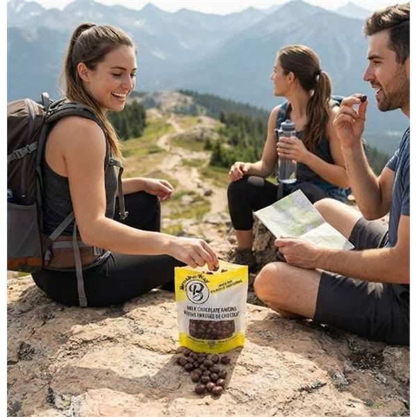 Break-a-Way Milk Chocolate Raisins 270g