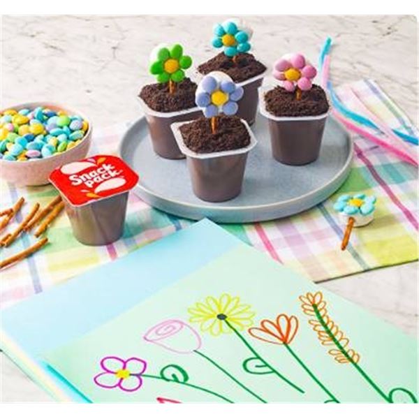 Snack Pack Chocolate Pudding 24 Pack x 99g
