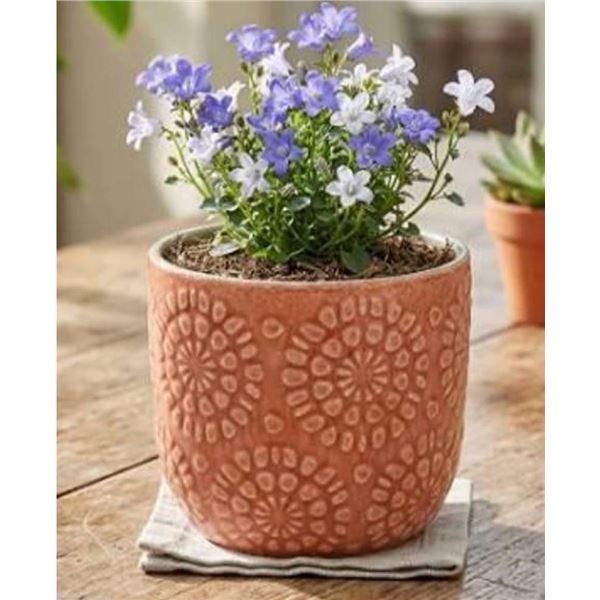 Stone & Beam Floral Embossed Planter Small