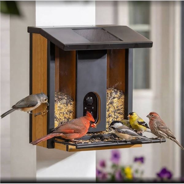 Solar Camera Bird Feeder by Evergreen