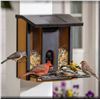 Image 1 : Solar Camera Bird Feeder by Evergreen