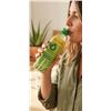 Image 1 : Simple Aloe Vera Drink with Pulp, 12x500ml