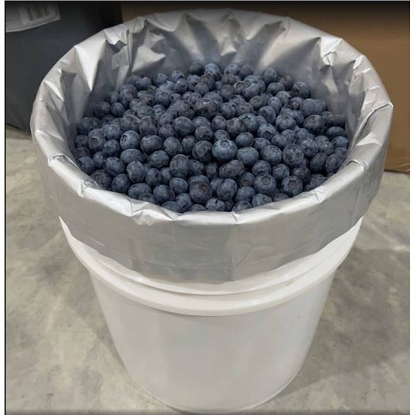 150 Mylar Style Bags 20" x 30"