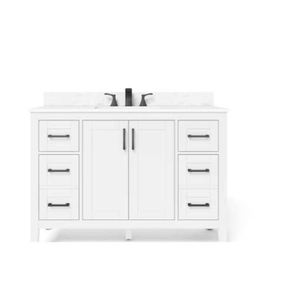 Home Decorators Collection Ellia 48-inch W x 20-inch D 2-Door & 6-Drawer Whitey Wood Bathroom Vanity