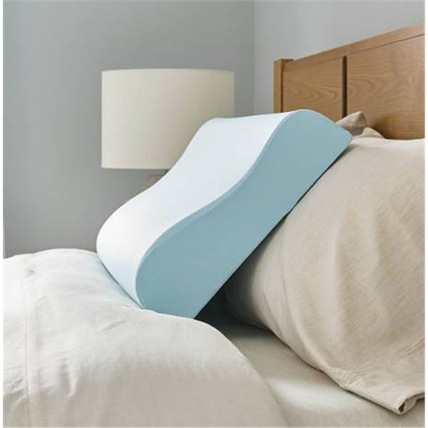 Sealy Memory Foam Pillow