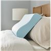 Image 1 : Sealy Memory Foam Pillow