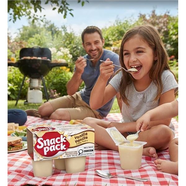 Lot of 12 - Snack Pack VanillaÂ  Pudding Cups (4x99g)