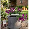 Image 1 : Rivet Rustic Textured Stoneware Planter