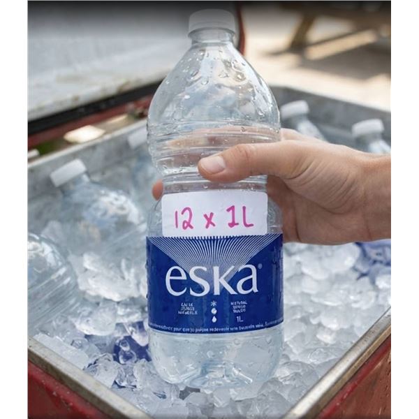 Eska Natural Spring Water 1L, 12 Bottles