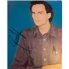 Image 1 : James Taylor Flag signed album
