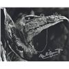 Image 1 : The Dark Crystal Michael Kilgarriff Signed Photo
