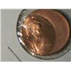 Image 1 : 2000 BU LINCOLN CENT