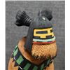 Image 9 : HOPI KACHINA (GARY JOSHEVAMA)