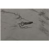 Image 5 : NAVAJO DRAWING (JOHNNY SECATERO)