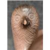 Image 8 : CHEROKEE POTTERY BIRD BOWL (DON SWIMMER)