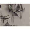 Image 8 : ZUNI DRAWING (ALEX SEOWTEWA)