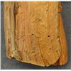 Image 12 : NAVAJO WOOD CARVING