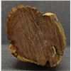 Image 6 : NAVAJO WOOD CARVING