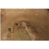 Image 7 : TAOS POTTERY PITCHER