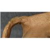 Image 8 : TAOS POTTERY PITCHER