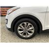 Image 31 : PARKSVILLE - 2014 HYUNDAI SANTA FE SPORT WHITE 226069 KMS - 157983-2