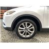 Image 31 : PARKSVILLE - 2013 MAZDA CX-9 WHITE 239700 KMS - 413009-3