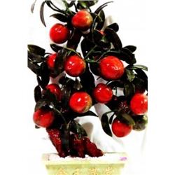 ORNATE JADE FRUIT TREE