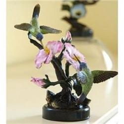 White Eared Hummingbird