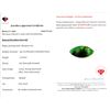 Image 2 : 13.25 ct Certified Zambian Emerald Gemstone ($19,875 Appraisal) (Inv #SR032)