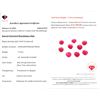 Image 2 : 7.35 ct Certified Mozambique Ruby Gemstone Parcel ($14,700 Appraisal) (Inv #SR034)