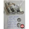 Image 3 : Canada Twenty Five Cent 1999 (Partial Rolls) : (432 Coins) - January (36) - February (36) - March (3