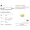 Image 2 : 11.55 ct Certified Welo Opal Gemstone ($14,437 Appraisal) (Inv #SR050)