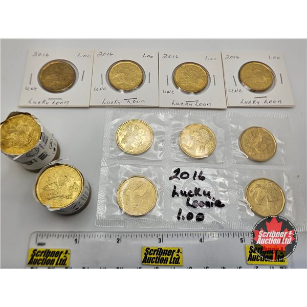 Canada Loonies (Incl. Partial ROLLS) (36 Coins) : 2016 "Luckie Loonie"