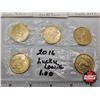 Image 4 : Canada Loonies (Incl. Partial ROLLS) (36 Coins) : 2016 "Luckie Loonie"