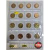 Image 1 : Canada Loonies (16) : 1995 - 2012 Intermittent (Variety)