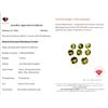 Image 2 : 9.7 ct Certified Himalayan Peridot Gemstone Parcel ($7,275 Appraisal) (Inv #SR041)