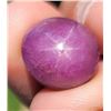 Image 1 : 16.7 ct Certified Untreated Star Ruby Gemstone ($25,050 Appraisal) (Inv #SR046)