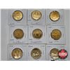 Image 3 : Canada Loonies (20) : 1987 - 2016 Intermittent (Variety)