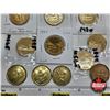 Image 4 : Canada Loonies (20) : 1987 - 2016 Intermittent (Variety)