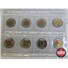 Image 3 : Canada Toonies (16) : 1996; 2006; 2009; 2010; 1996; 1998; 1999; 2006; 2009; 2010; 2011; 2014; 2019 C
