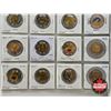 Image 3 : Canada Toonies (20) : 1996-2006; 2007; 2008; 2009; 2010; 2011; 2011; 2012; 2014; 2015; 2015; 2017; 2