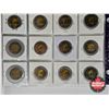 Image 6 : Canada Toonies (20) : 1996-2006; 2007; 2008; 2009; 2010; 2011; 2011; 2012; 2014; 2015; 2015; 2017; 2
