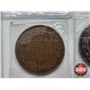 Image 4 : Canada Large Cent (4) : 1859; 1882; 1916; 1920