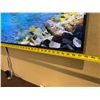 Image 3 : LG Flat Screen TV 57"L