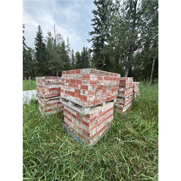 12 Pallets of Red and White Perforated Bricks