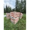 Image 1 : 12 Pallets of Red and White Perforated Bricks