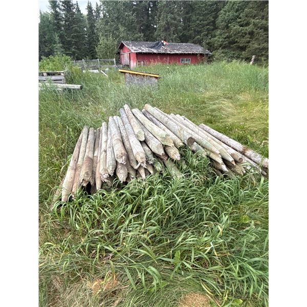Bundle of Treated Wooden Fence Posts