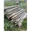 Image 2 : Bundle of Treated Wooden Fence Posts